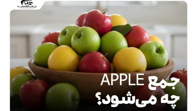 جمع apple چه می‌شود