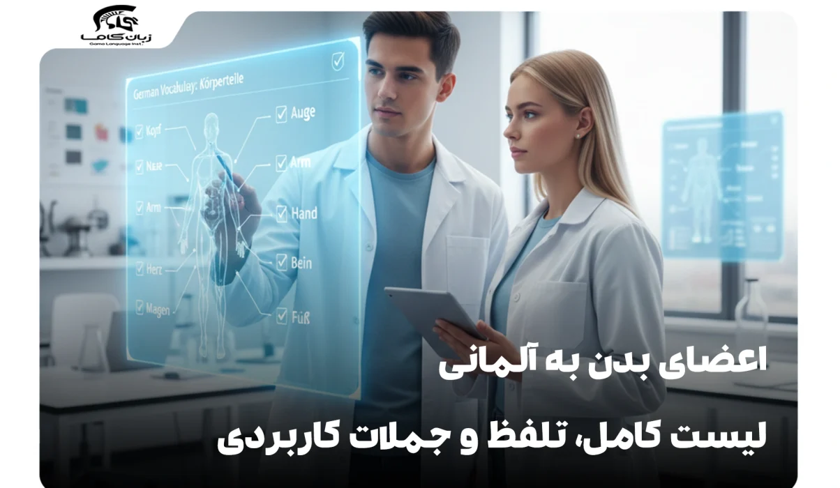 اعضای بدن به آلمانی: لیست کامل، تلفظ و جملات کاربردی 10 اعضای بدن به آلمانی