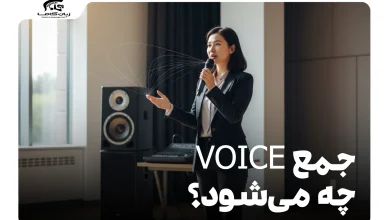 جمع voice چه می‌شود