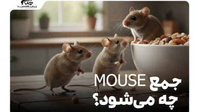 جمع mouse چه می‌شود