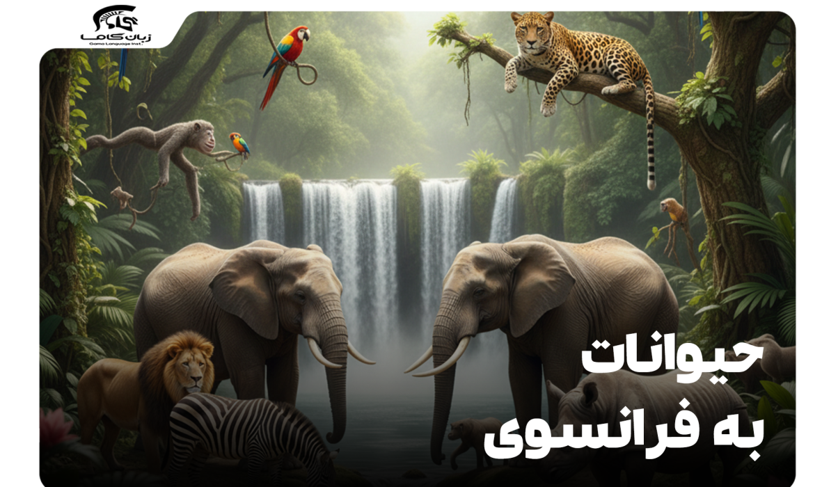 حیوانات به فرانسوی: راهنمای جامع اسم، تلفظ، جنسیت و کاربرد 19 حیوانات به فرانسوی