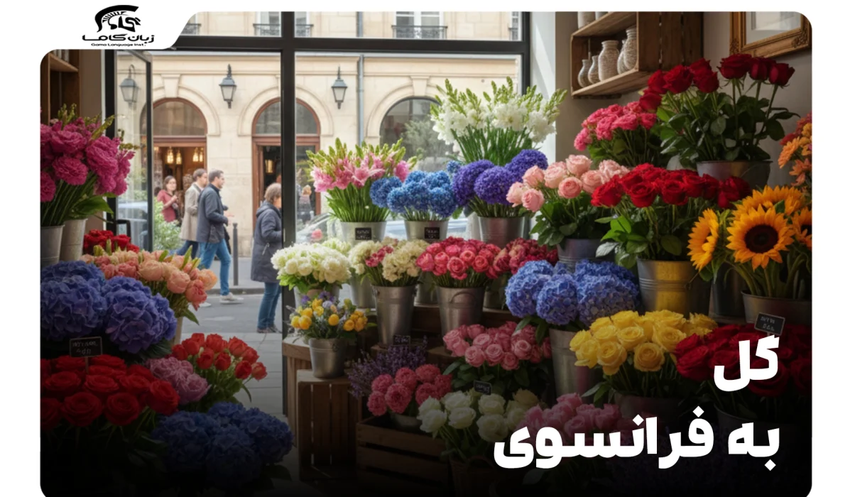 گل به فرانسوی: راهنمای جامع اسامی، ترجمه و کاربردها 13 گل به فرانسوی