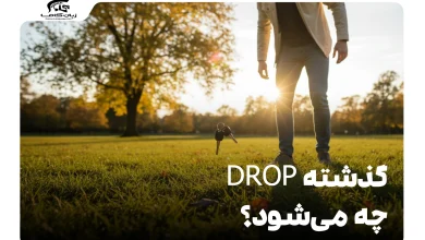 گذشته drop چه می‌شود؟