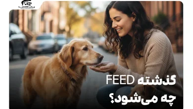 گذشته feed چه می‌شود