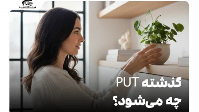 گذشته put چه می‌شود؟