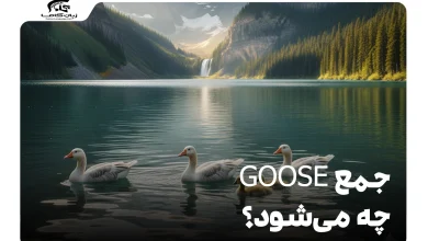 جمع goose چه می‌شود؟