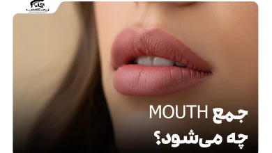 جمع mouth چه می‌شود