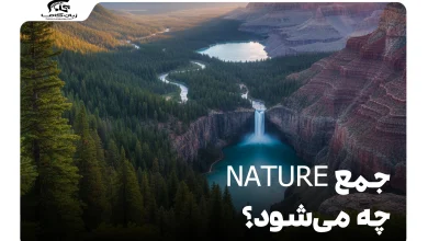 جمع nature چه می‌شود؟