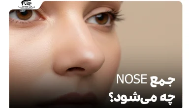 جمع nose چه می‌شود