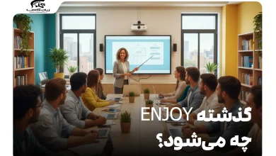گذشته enjoy چه می‌شود