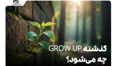 گذشته grow up چه می‌شود