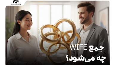 جمع wife چه می‌شود؟