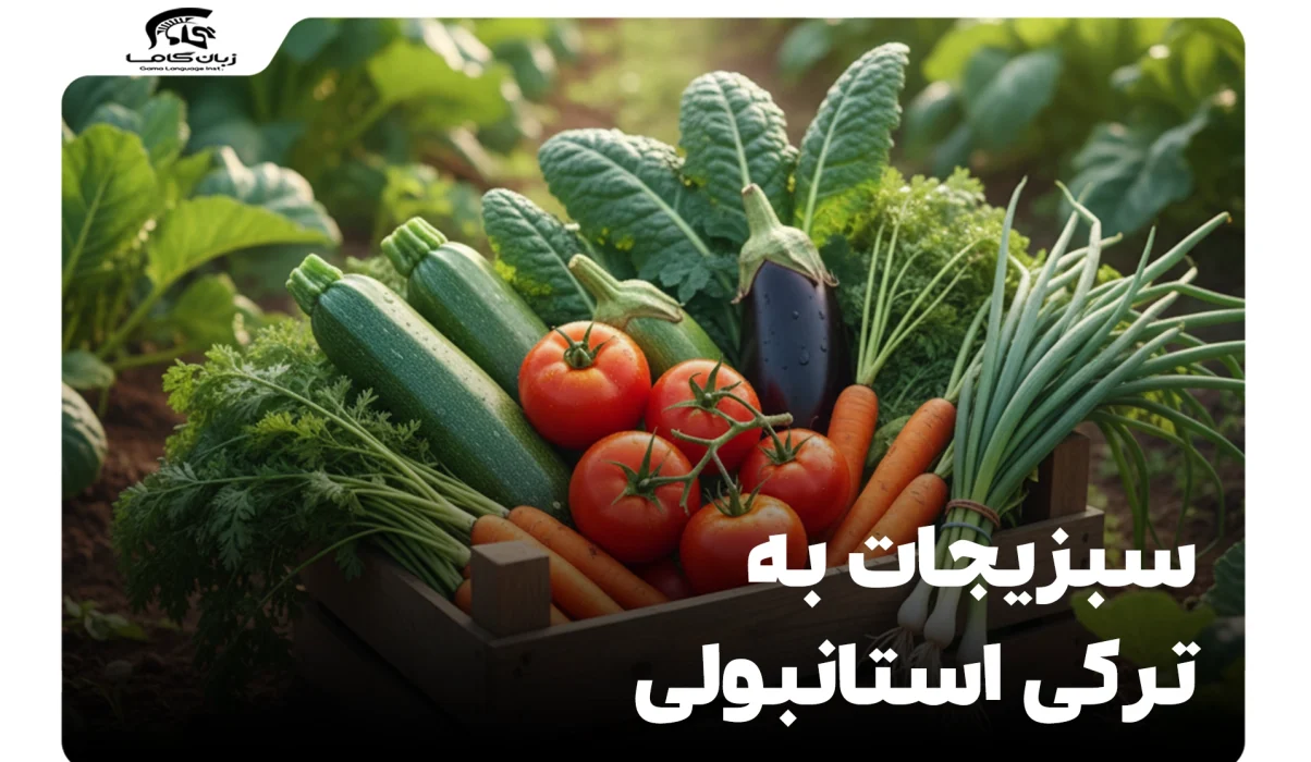 سبزیجات به ترکی استانبولی