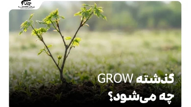 گذشته grow چه می‌شود