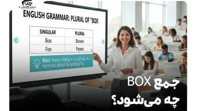 جمع box چه می‌شود