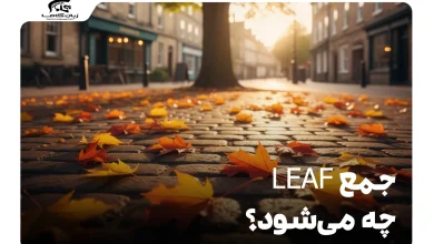 جمع leaf چه می‌شود