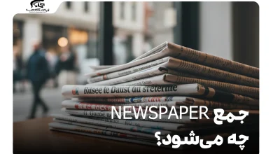 what is the plural of newspaper 1