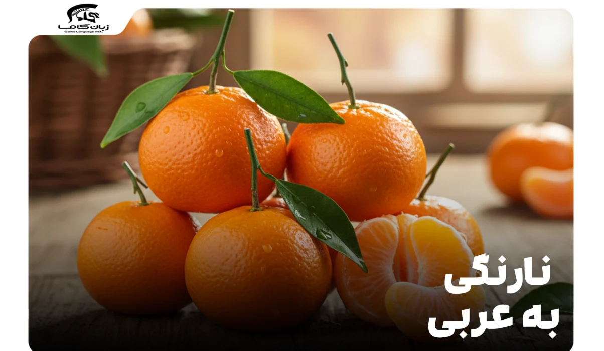 نارنگی به عربی: معنی، تلفظ و کاربرد در جملات روزمره 19 نارنگی به عربی