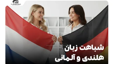 شباهت زبان هلندی و آلمانی: ریشهها، گرامر و واژگان 7 شباهت زبان هلندی و آلمانی