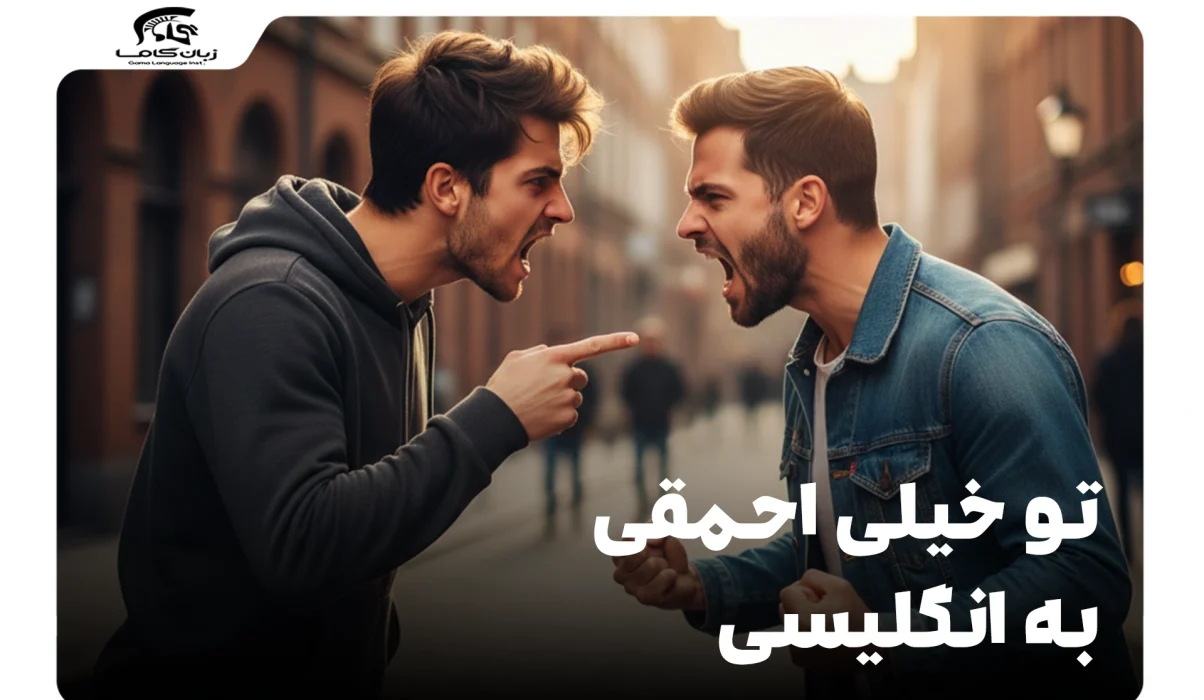 چگونه بگوییم تو خیلی احمقی به انگلیسی؟ (با ادب و بیادبانه) 16 تو خیلی احمقی به انگلیسی